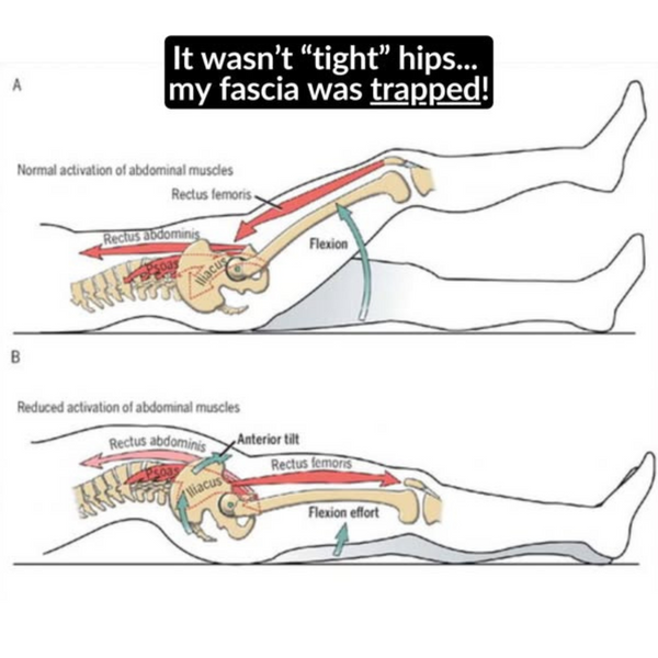 Safe & Balanced Disc